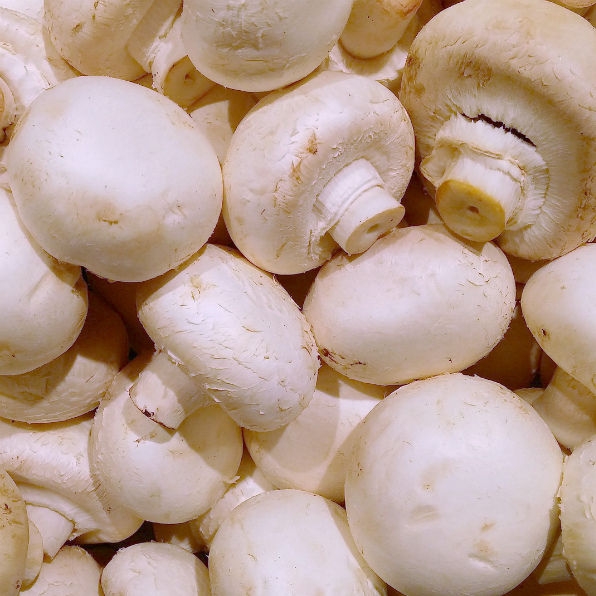 Грибы шампиньоны