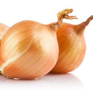 Лук репчатый